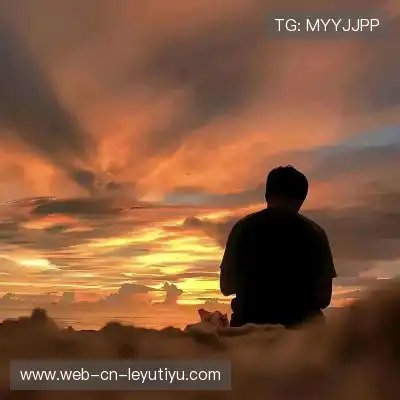 朱晶丹