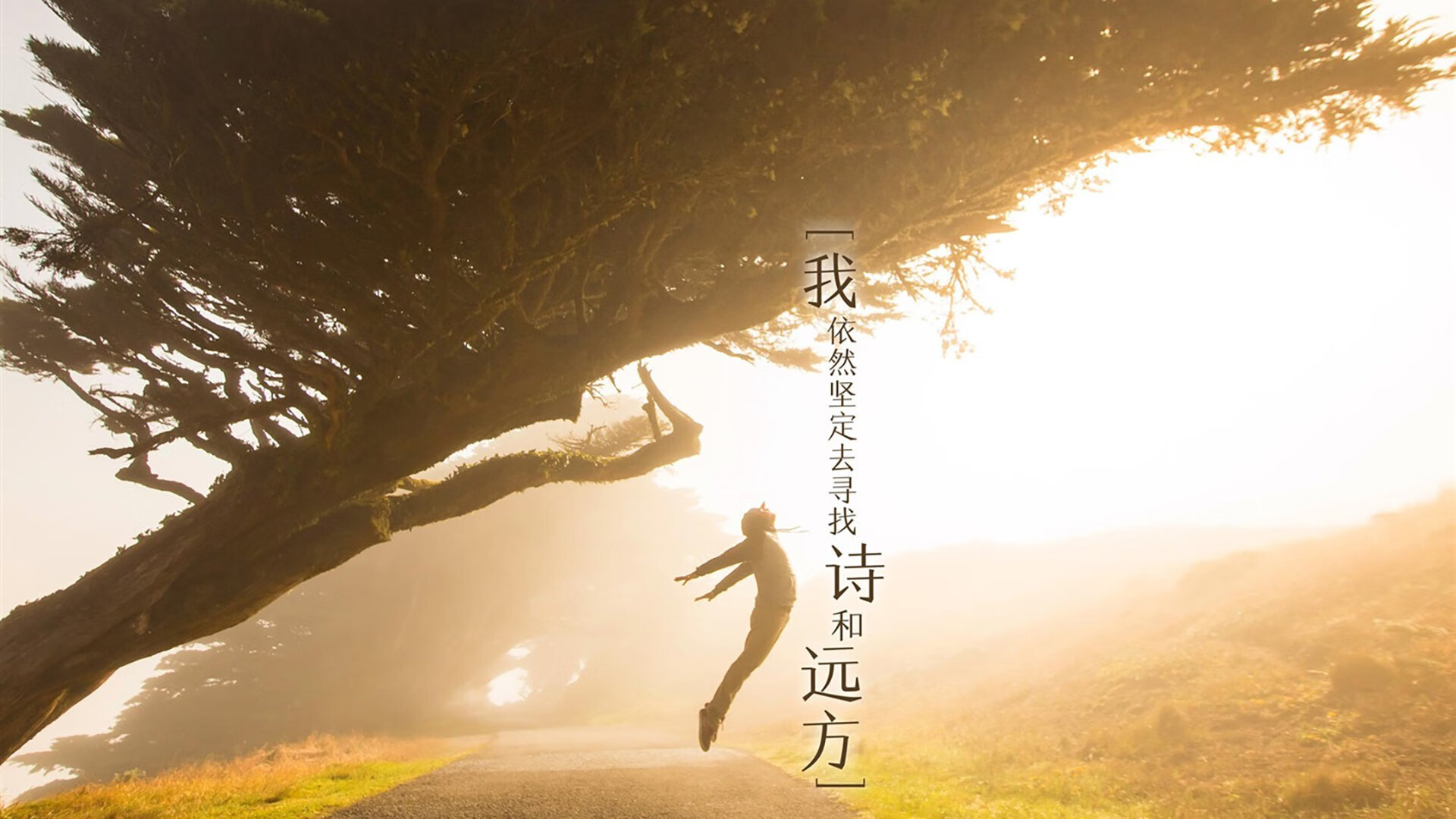 世界杯中国女足夺冠 球迷激情洋溢,中国女足世界杯亚军视频