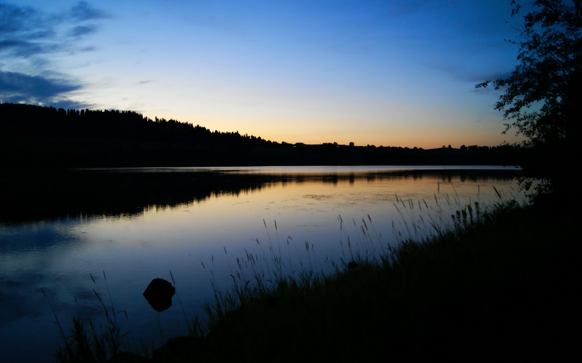 国际乒乓球新星亮相，年轻选手迎来机会，国际乒乓球运动员排行榜