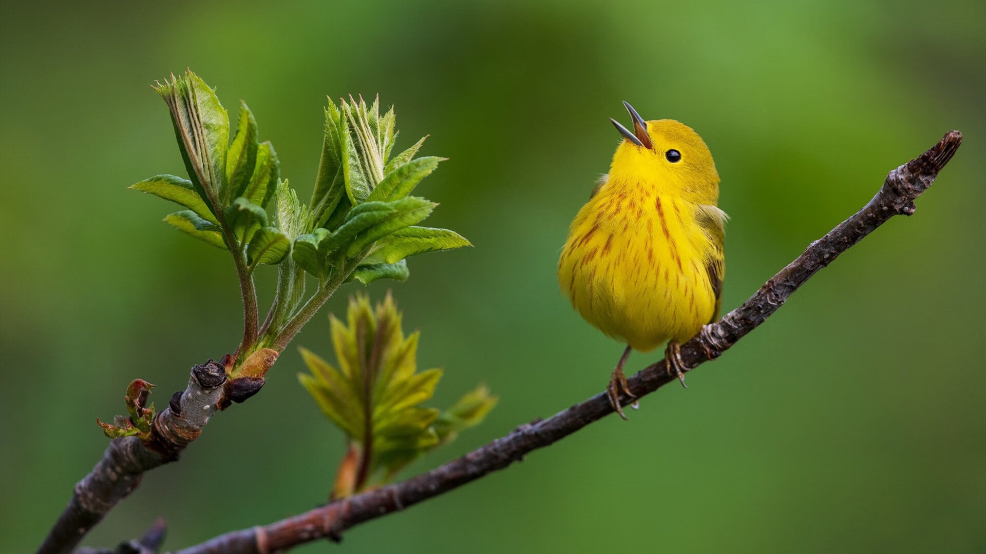 足球战术打法多变比赛观赏性强，足球比赛的战术