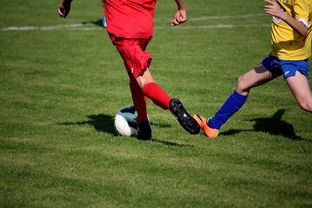 乐鱼体育官网入口-中国足球俱乐部与国际知名足球学院合作，中国足球俱乐部和国家队