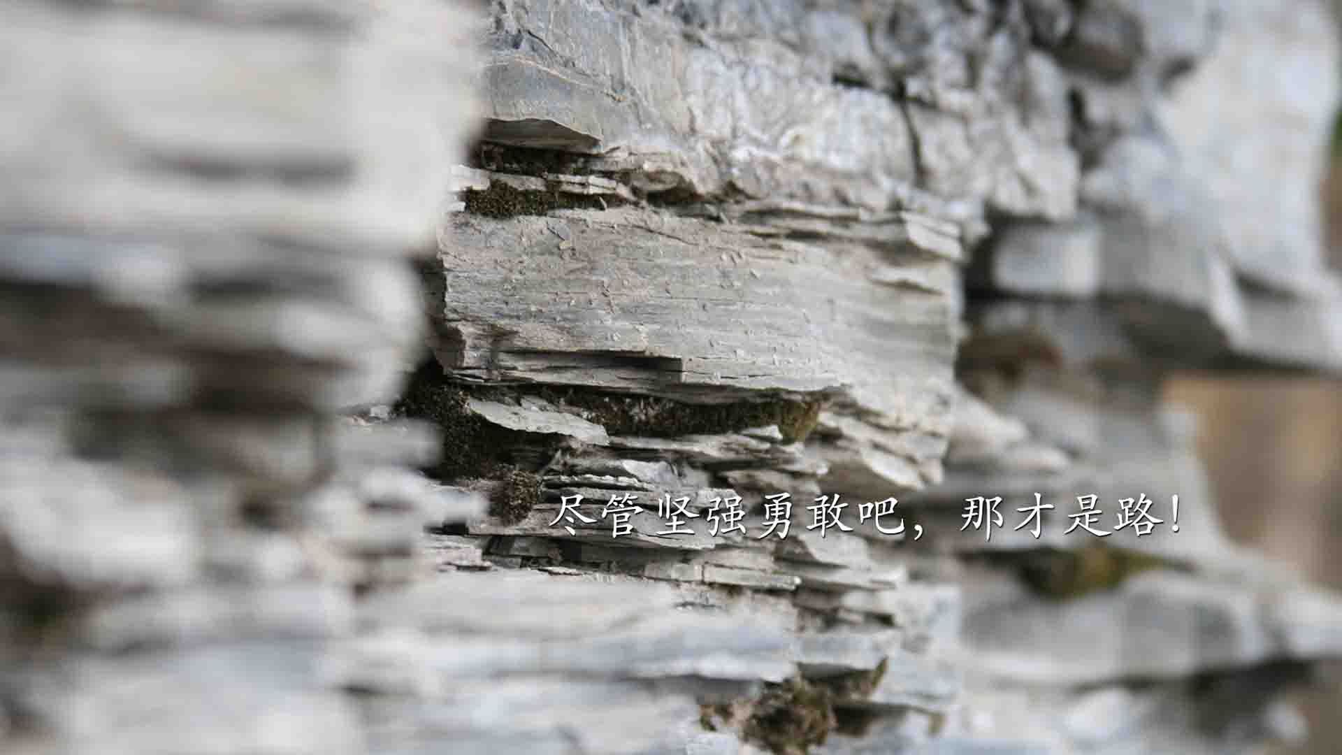 乌克兰男篮在欧洲预赛中拼搏,迈向奥运梦想