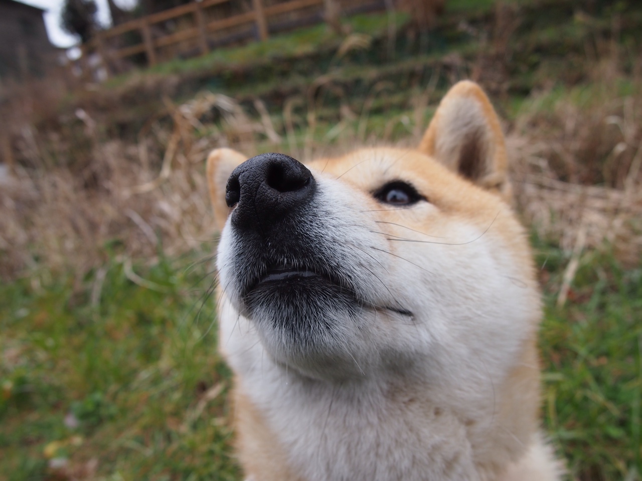 各大足球俱乐部推出粉丝互动平台，增强用户粘性，足球俱乐部粉丝数