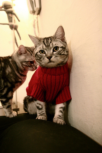 女子国家队开展主题式战术周集中提升单项能力，女子国家队队员